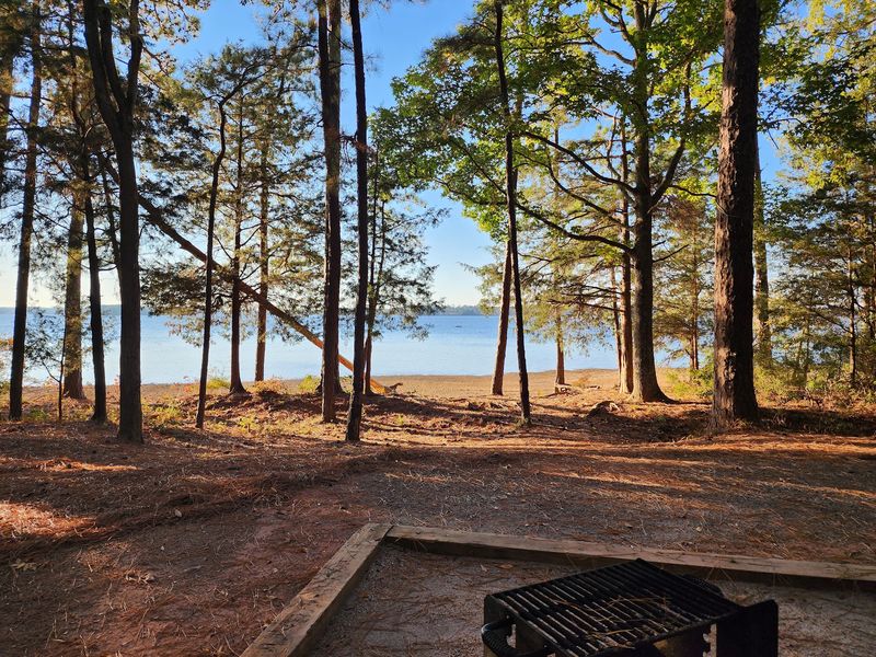 Waterfront Campsites You Can Practically Fish From Waterfront Campsites You Can Practically Fish From