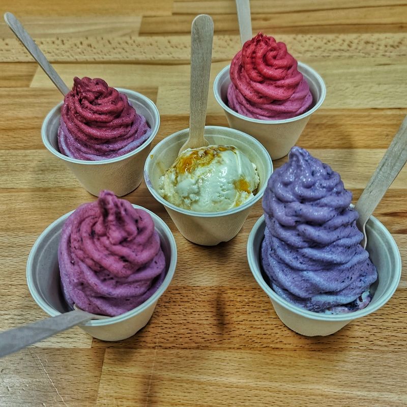 Vegan and Dairy-Free Options That Actually Taste Amazing