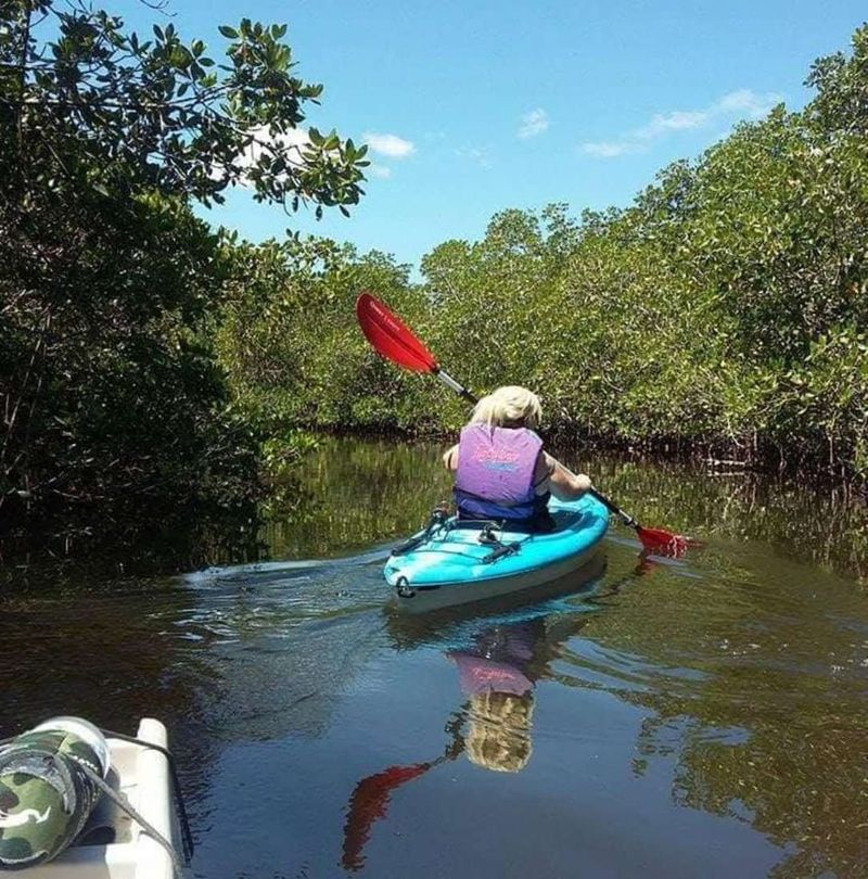 Kayaking Through Mangrove Tunnels And Pristine Backwaters