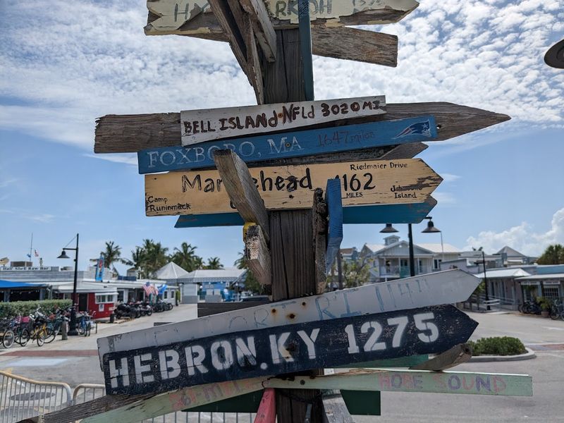 Conch Fritters That Kick Off Any Meal Right