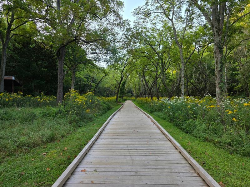 Waterfront Trails Beneath A Leafy Canopy