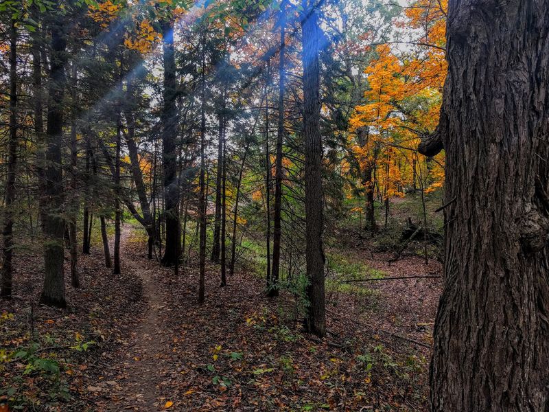 Waterloo Recreation Area