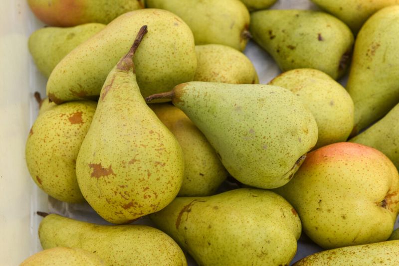 Pears: The Fiber-Filled Fruit