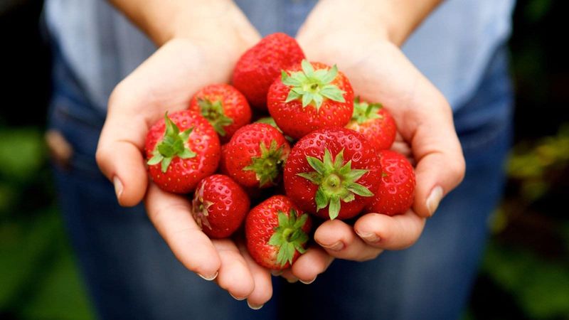 Strawberry Sensations