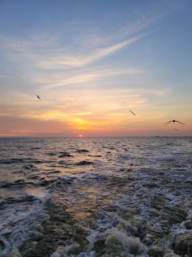 Waters So Clear You Will Question Everything You Knew About Mississippi Waters So Clear You Will Question Everything You Knew About Mississippi