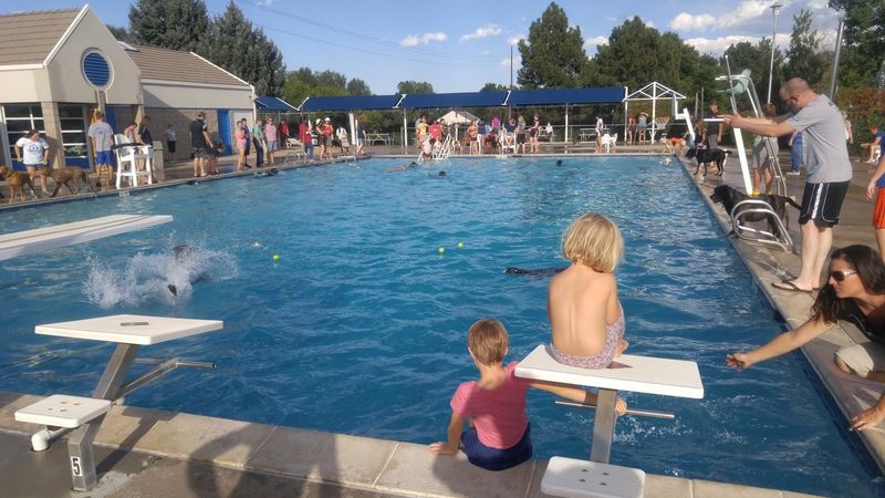Waterslides, Diving Boards, and the Older Kids Finally Have Something To Do Waterslides, Diving Boards, and the Older Kids Finally Have Something To Do
