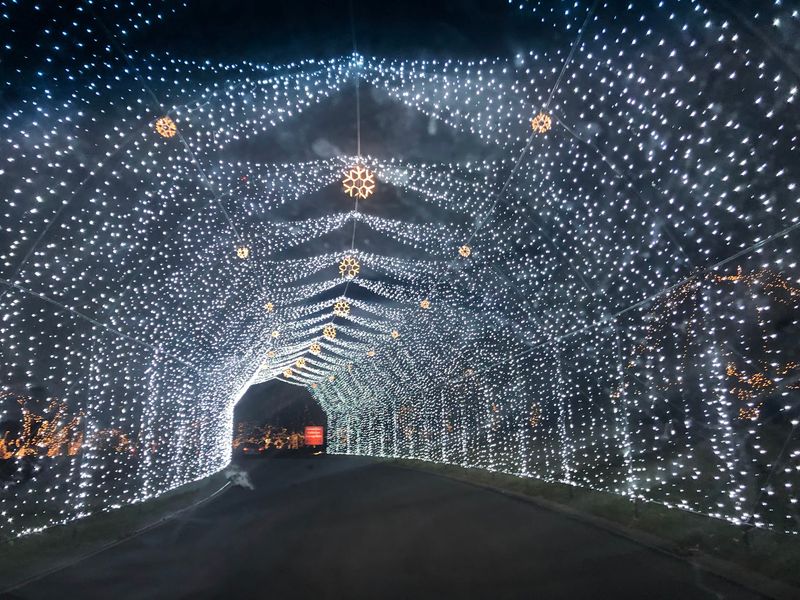 Way Of Lights, A Holiday Tradition