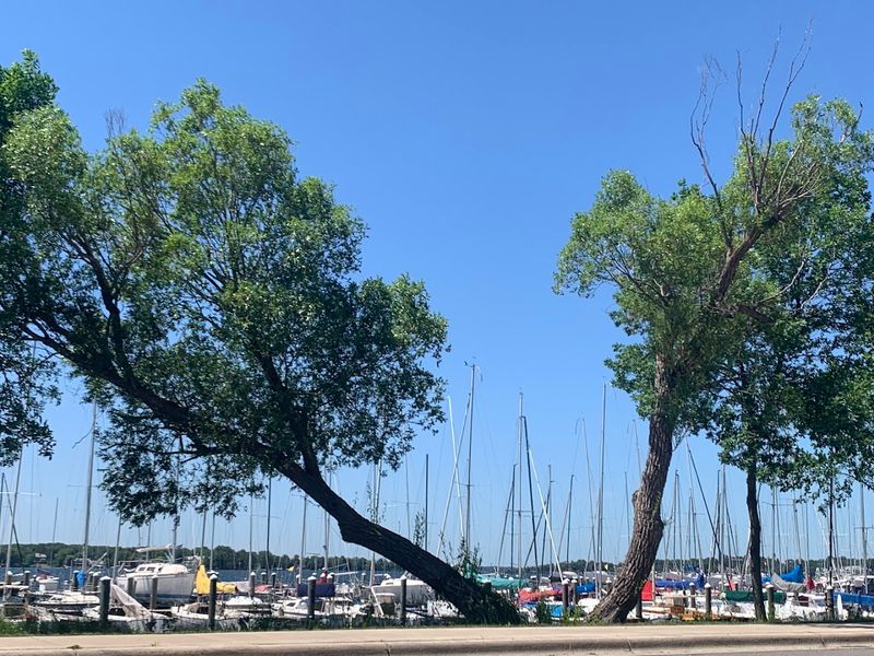 Wayzata, Lake Minnetonka