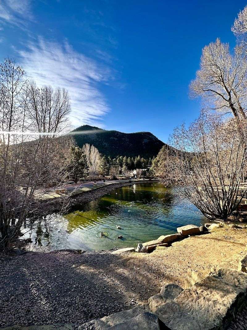 The Duck Pond That Changes Everything