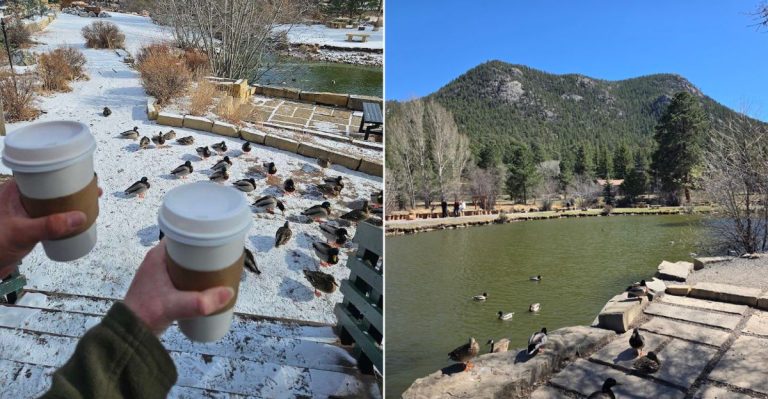 We Found A Stunning Colorado Restaurant Hidden Beside A Peaceful Duck Pond