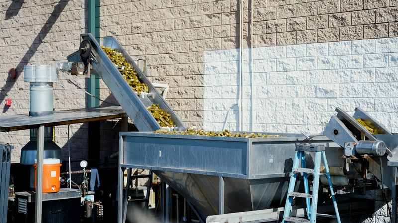 A Family Legacy That Has Stood The Test Of Brine