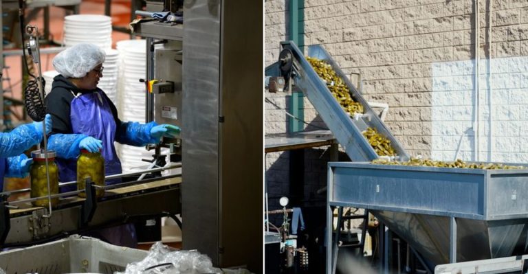 We Found Arizona’s Most Dill-Icious Hidden Gem