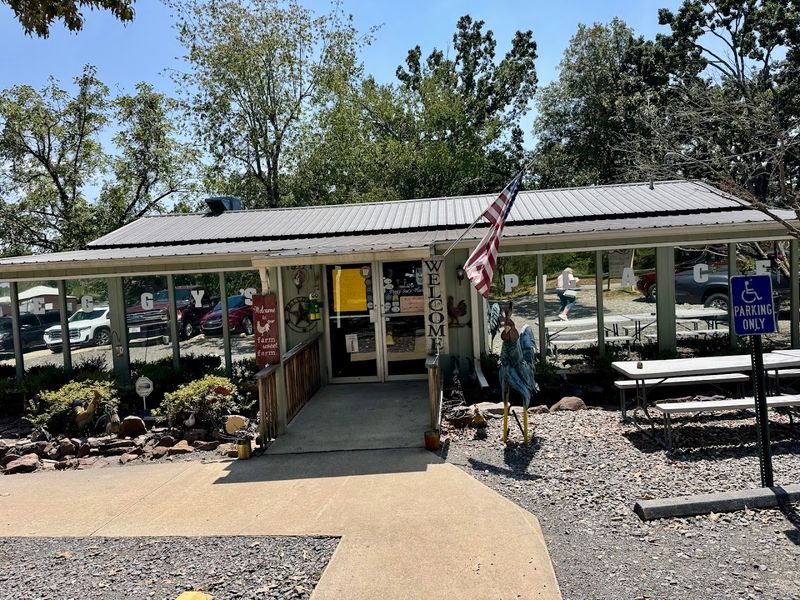 A Winding Morning Drive Through Foggy Ozark Backroads
