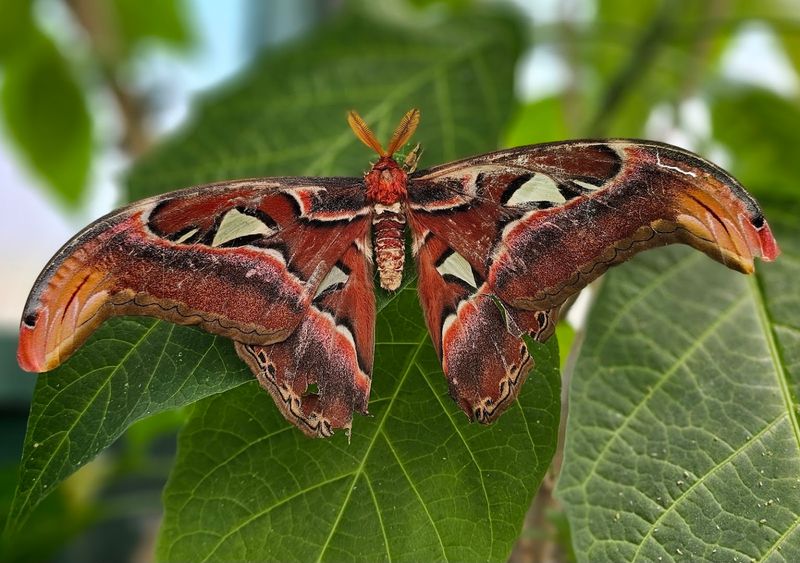 Move Slowly, See More