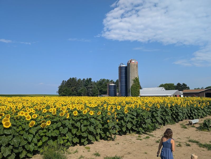 Wear Shoes For A Real Farm, Not A Fantasy Field Wear Shoes For A Real Farm, Not A Fantasy Field