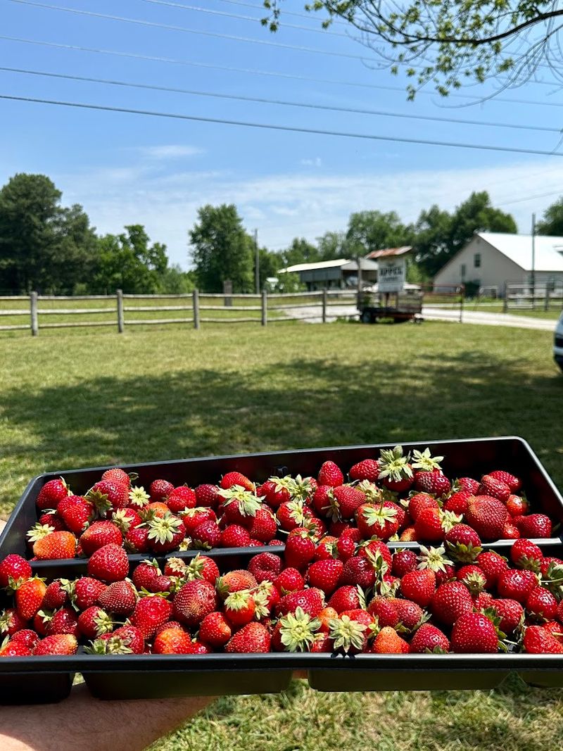 Fresh Picked Options Available For Quick Visits