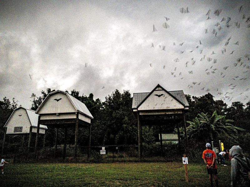 Educational Value Beyond The Visual Show