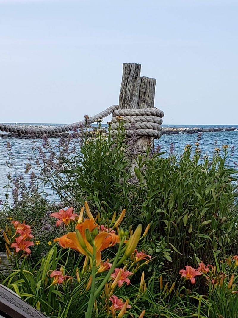 Night, Surf, And A Measured Sky