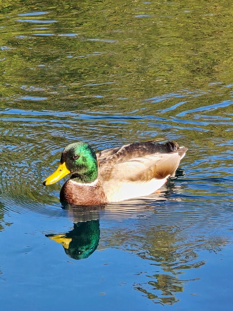 Beyond The Raft, Stillness