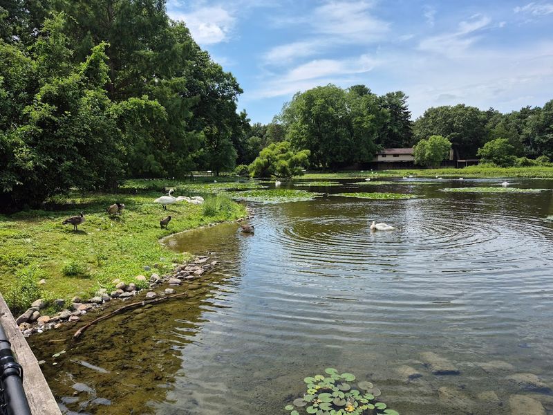 Ethical Shots And Leave No Trace