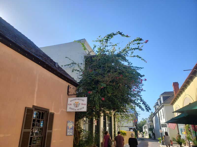 Streetside Planters Overflowing With Bougainvillea