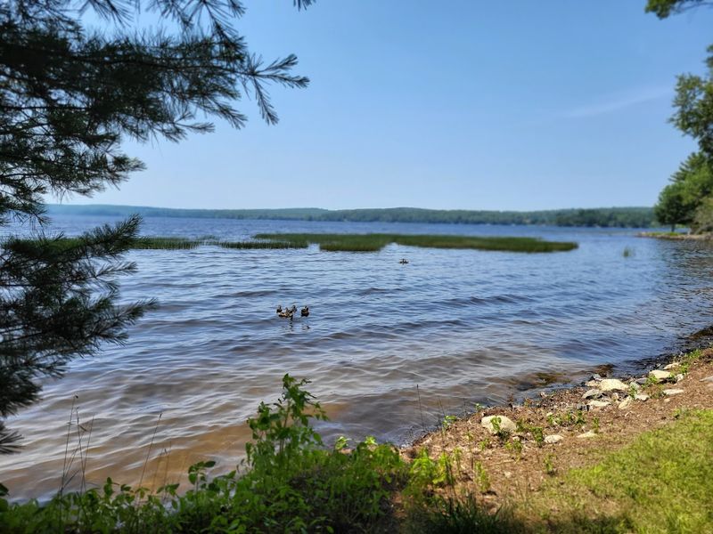 Damariscotta Lake, Damariscotta Lake State Park