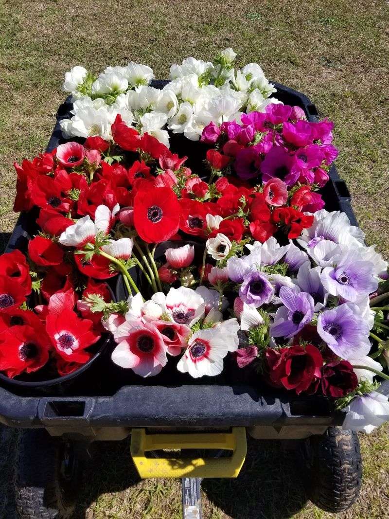 Seasonal Wreaths And Holiday Decor