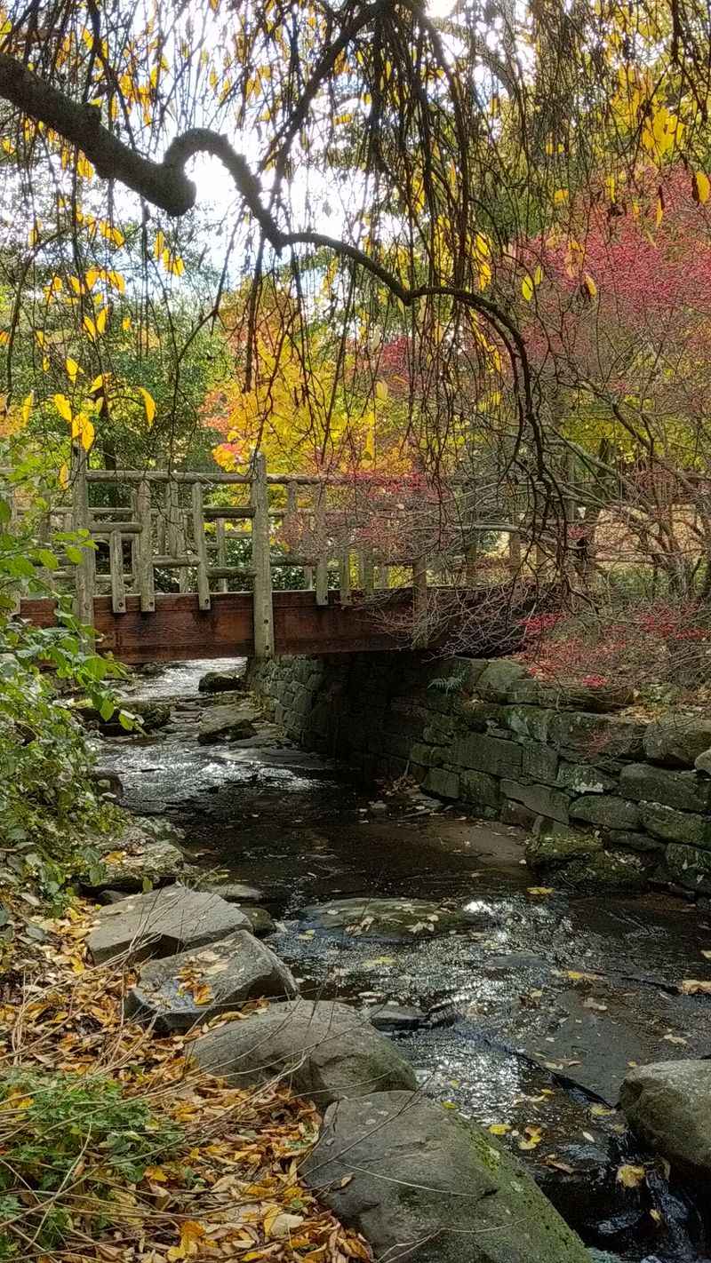 The Japanese Garden Offers Tranquil Meditation Spaces
