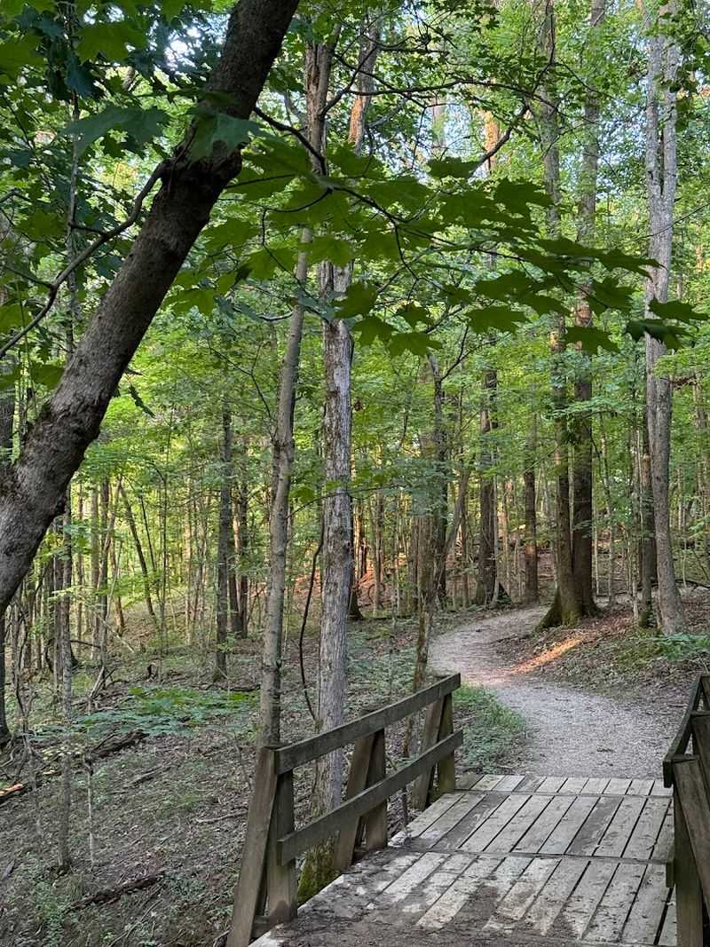 A Sanctuary Worth Returning To Again And Again