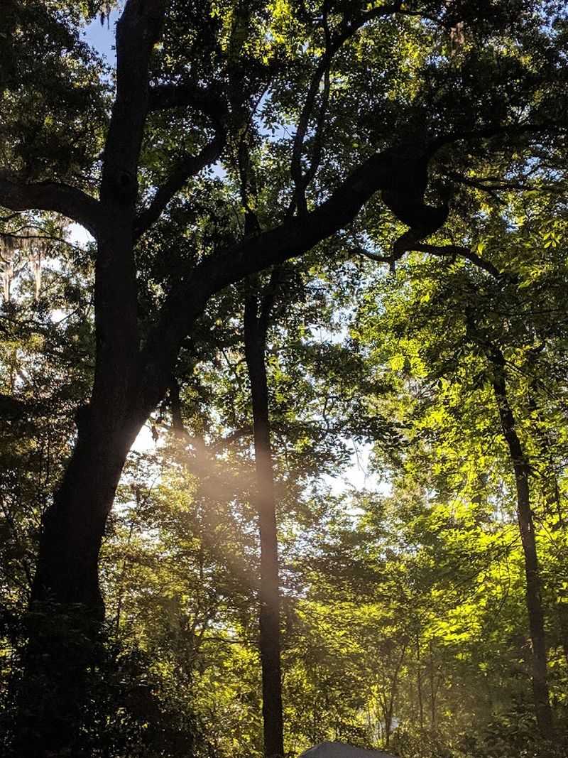Weekday Visits Offer A Calmer And More Peaceful Version Of The Springs