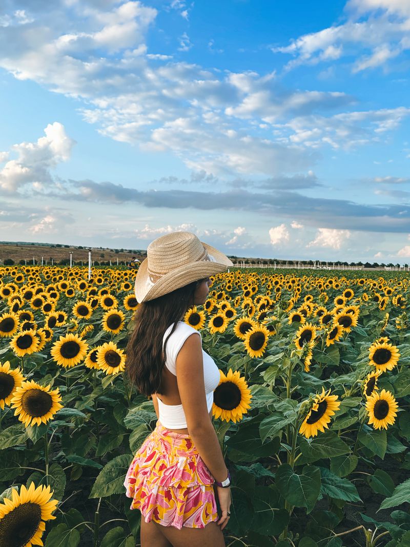 Photography Paradise