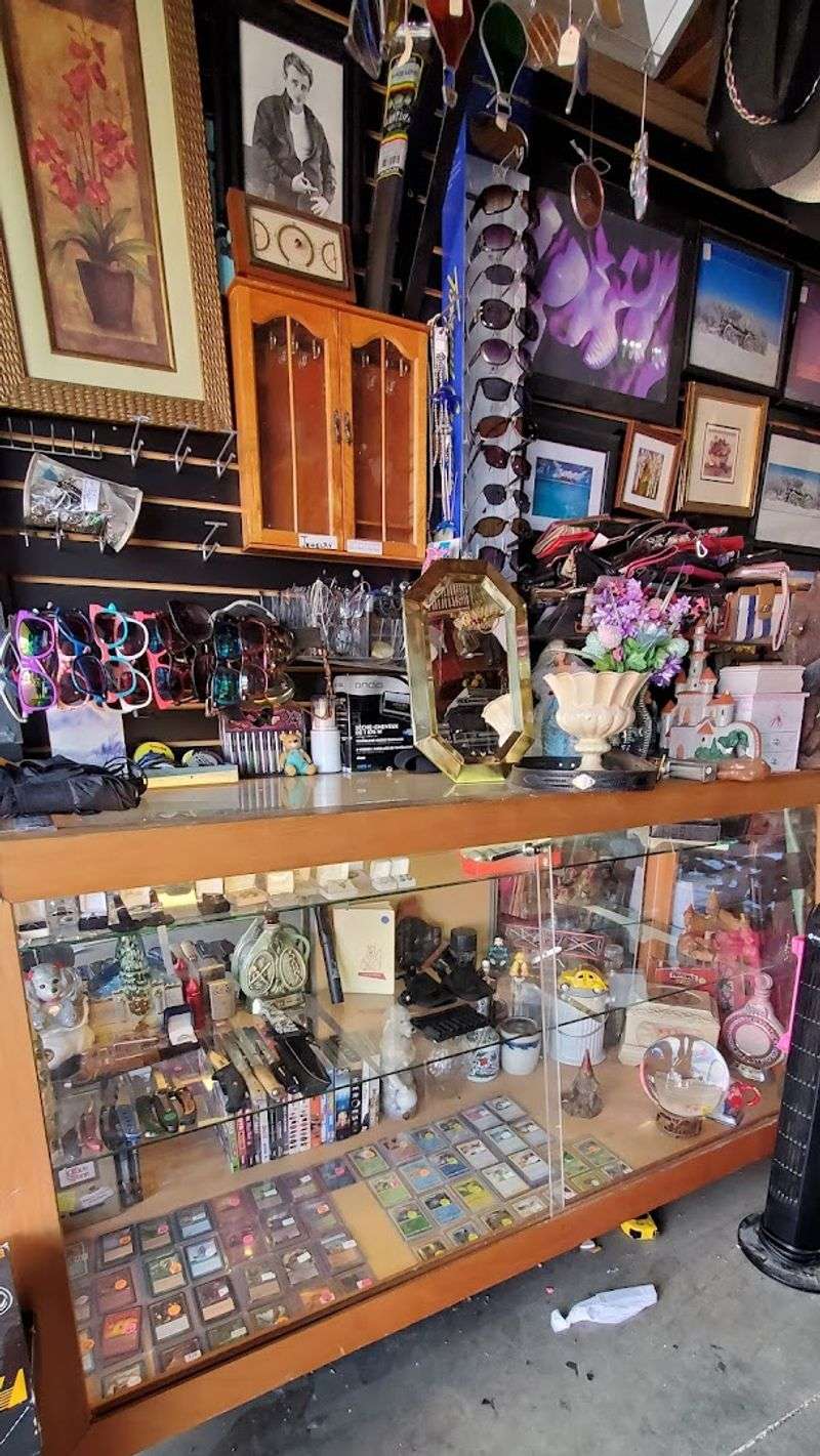 Affordable Finds That Make the Admission Worth Every Cent