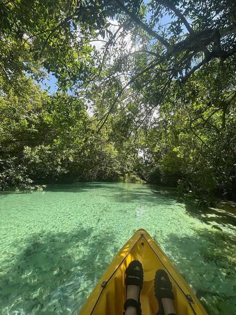 Weeki Wachee River Kayaking, Weeki Wachee