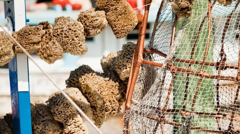 Tarpon Springs Sponge Docks, Tarpon Springs