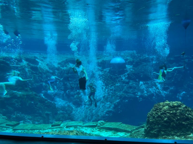 Weeki Wachee Springs State Park, Spring Hill