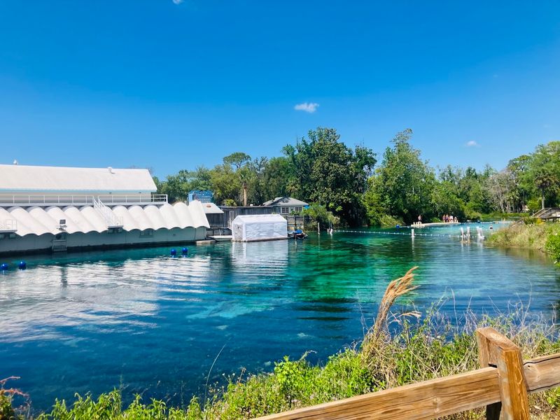 Weeki Wachee Springs State Park, Weeki Wachee