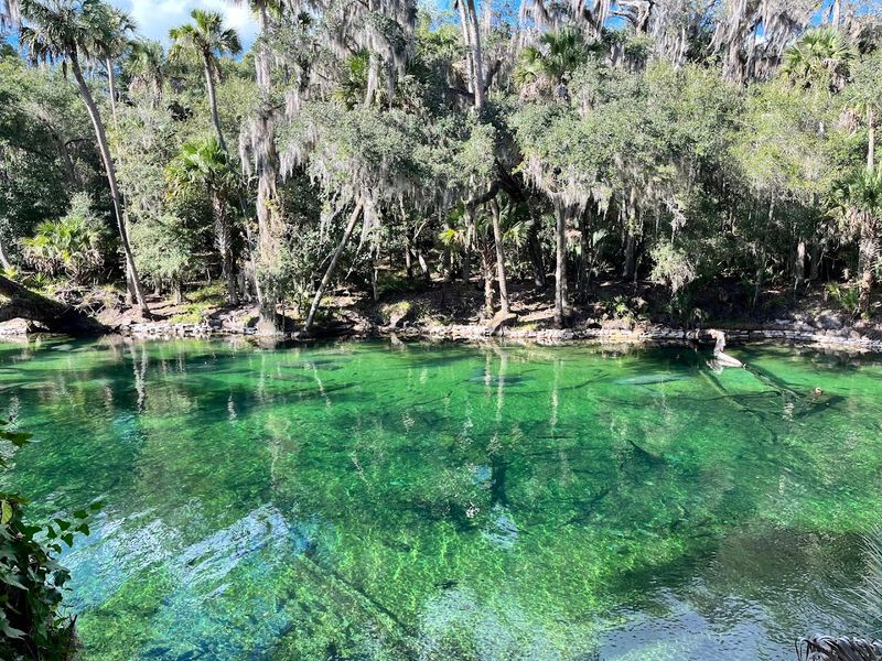 Blue Spring State Park, Orange City