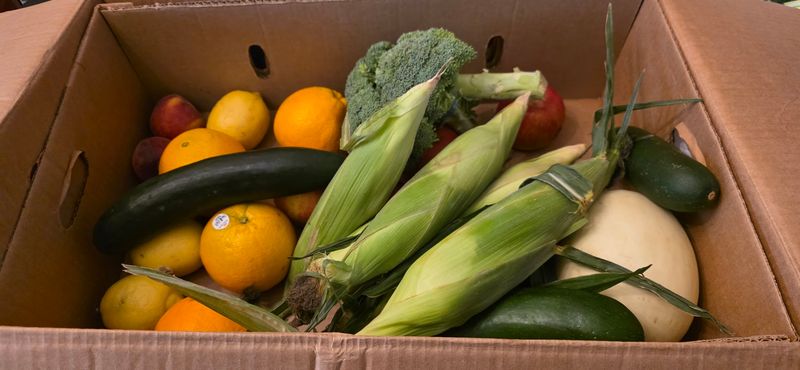 Weekly Produce Boxes Make The Guesswork Smaller Weekly Produce Boxes Make The Guesswork Smaller