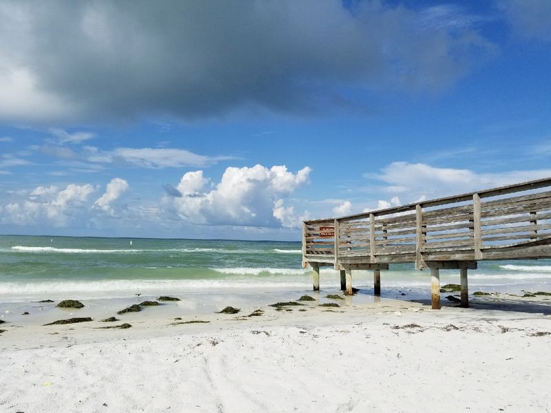 Honeymoon Island State Park, Dunedin