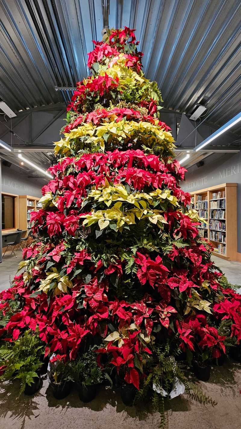 Education Center And Programs