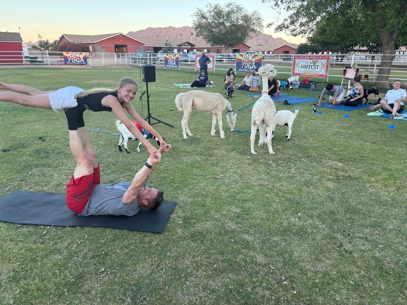 Welcome Home Ranch: The Heart Of The Experience