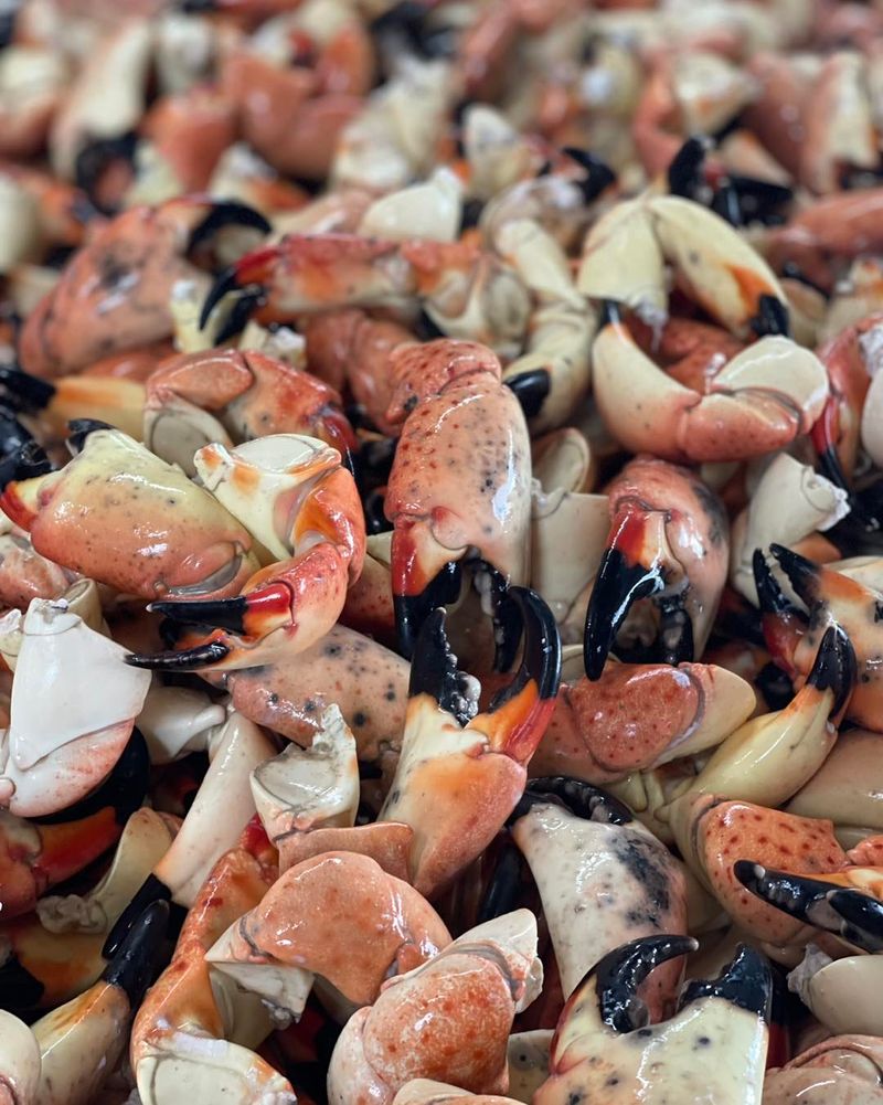 Welcome To The Stone Crab Capital Welcome To The Stone Crab Capital