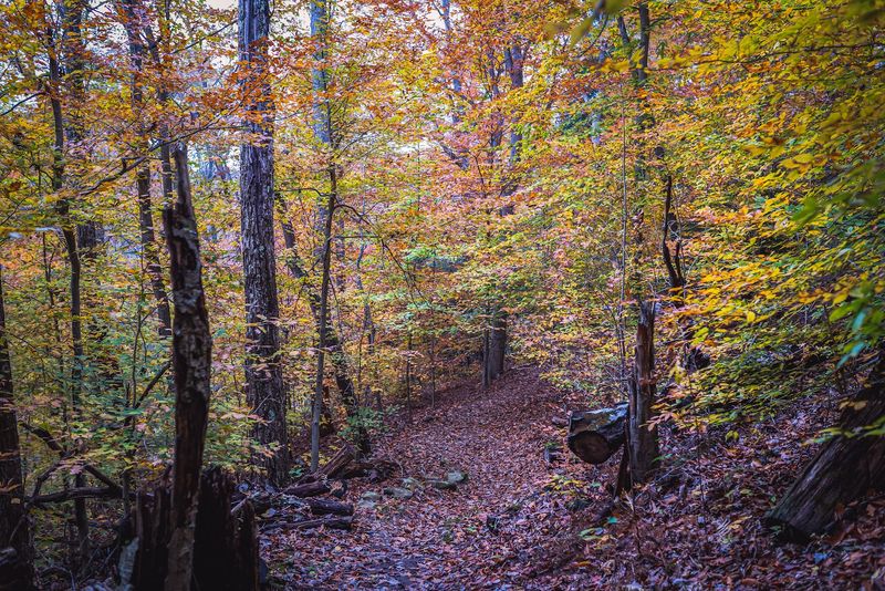 The Backpacking Loop That Will Humble You