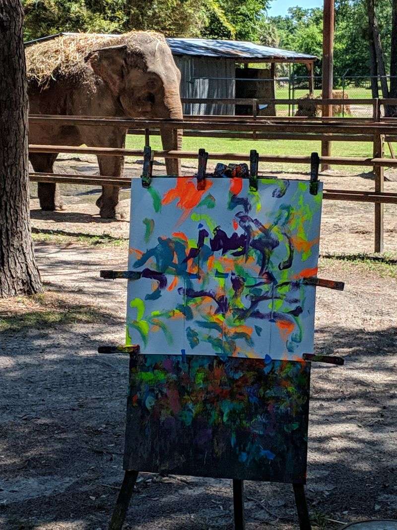 Photo Opportunities That Create Lasting Memories