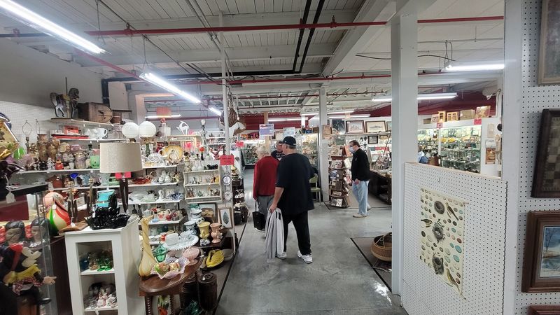 Well‑Organized Layout For Easy Browsing