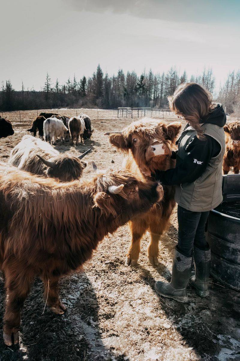 West Branch Farms, Machias