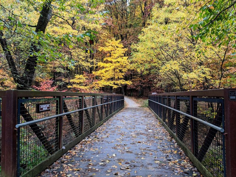 West Creek Reservation, Parma, OH