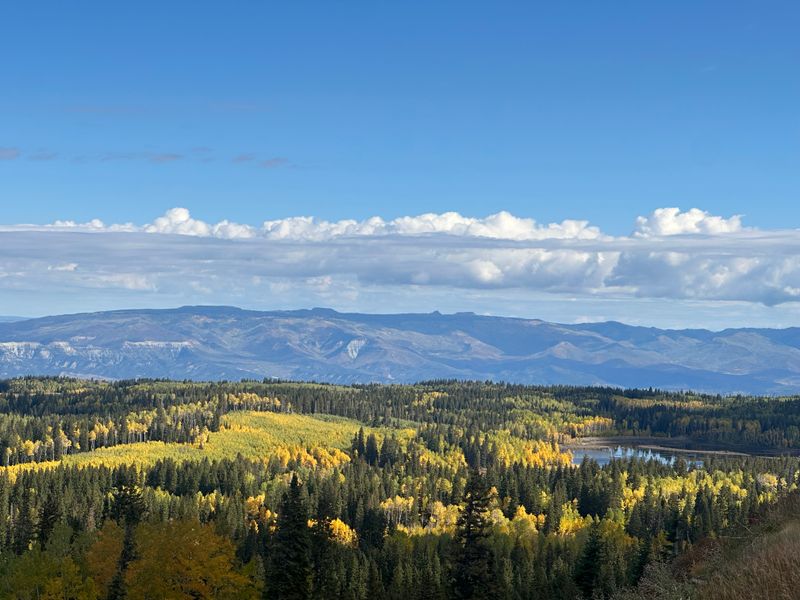 Grand Mesa Scenic Byway