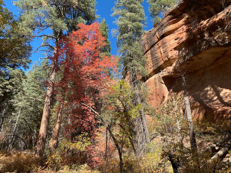 West Fork Oak Creek Trailhead
