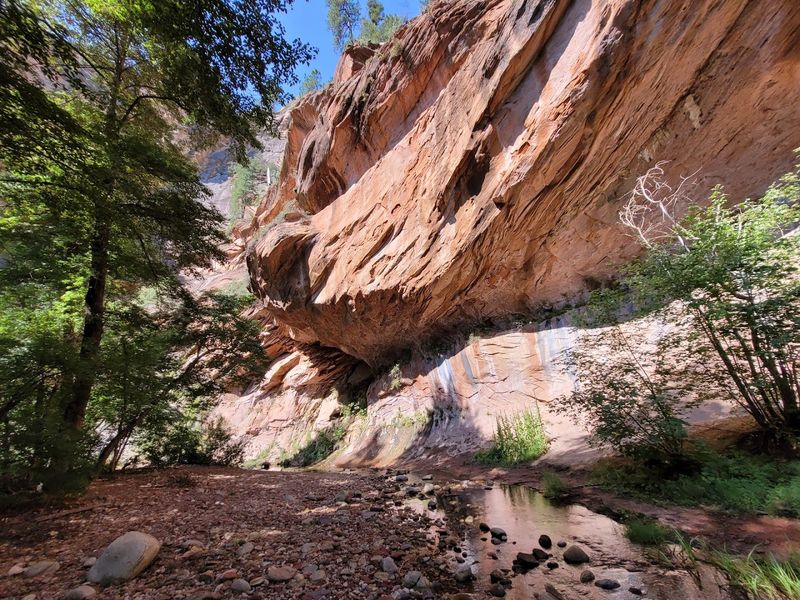 West Fork Trail No. 108, Oak Creek Canyon